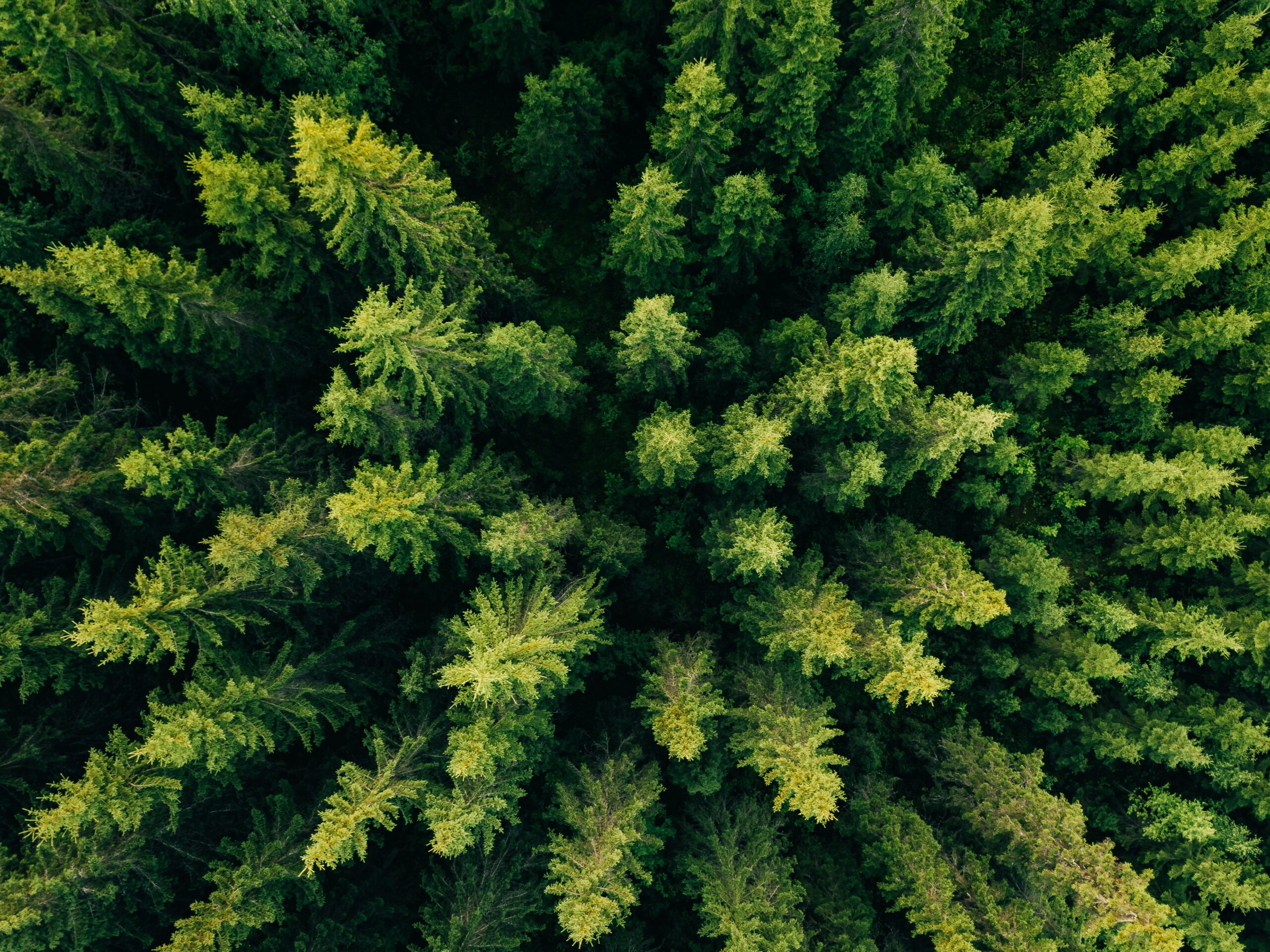 How Investors Can Evaluate a Company’s Environmental Performance